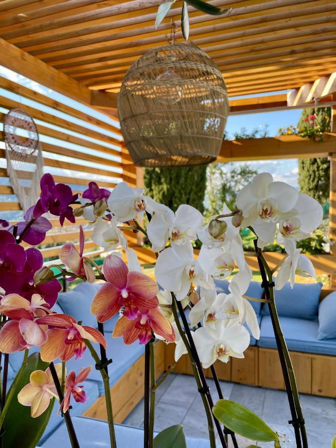 ニース Escondida Bed & Breakfast エクステリア 写真